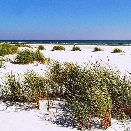 Tranquil Retreat Near - By Traum